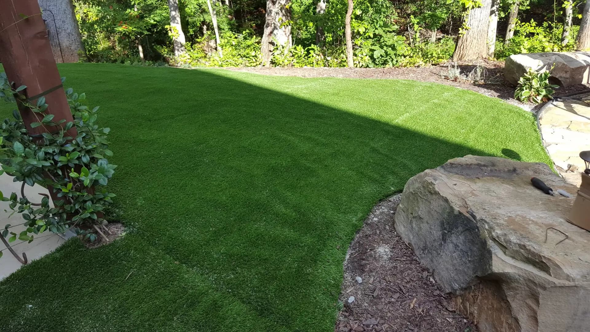 Backyard, showing off fresh cut grass