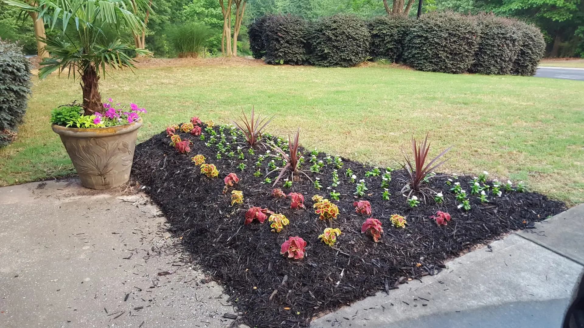 Garden with planted flowers and plants